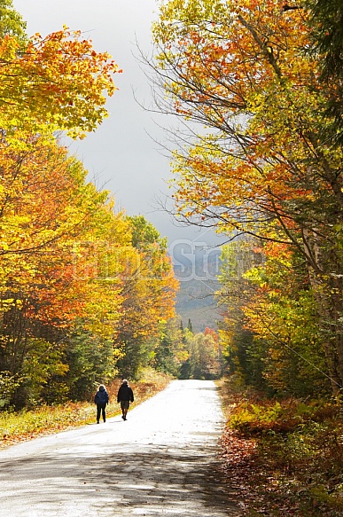 Country Road