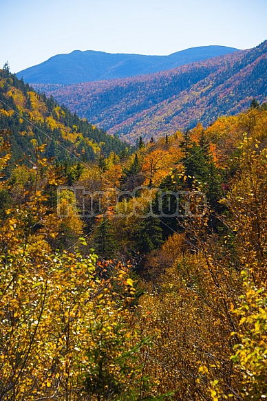 NH White Mountains