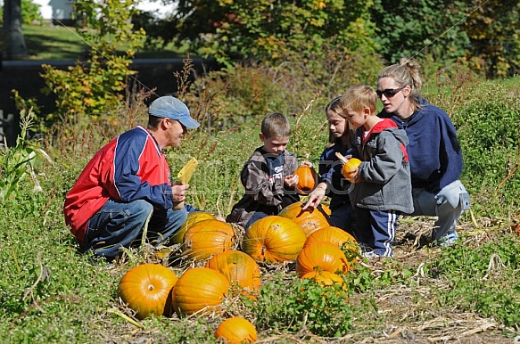 Pumpkin Shopping