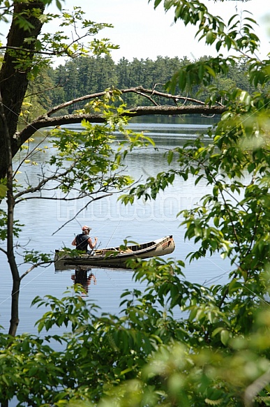 Summer Fishing