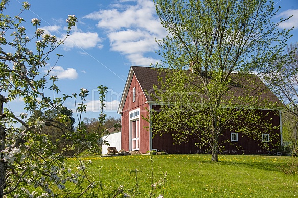 Spring Barn