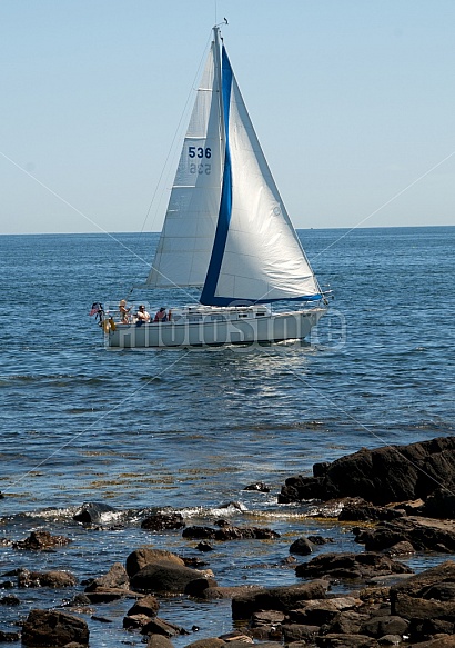 Sailboats On Ocean