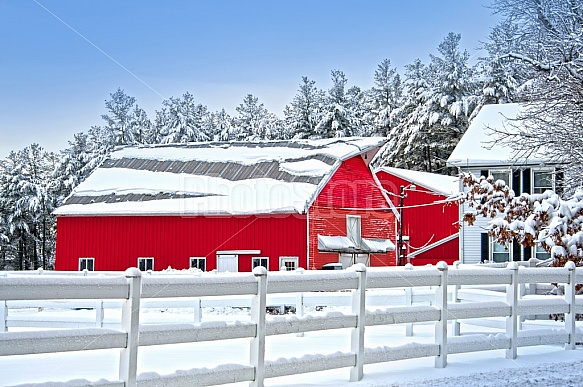 Red barns in winter