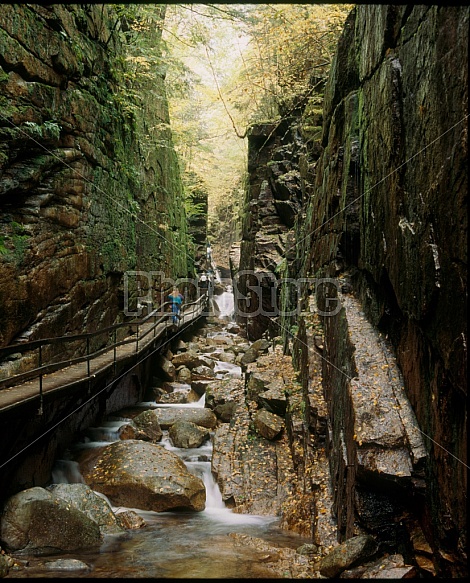 Flume Gorge