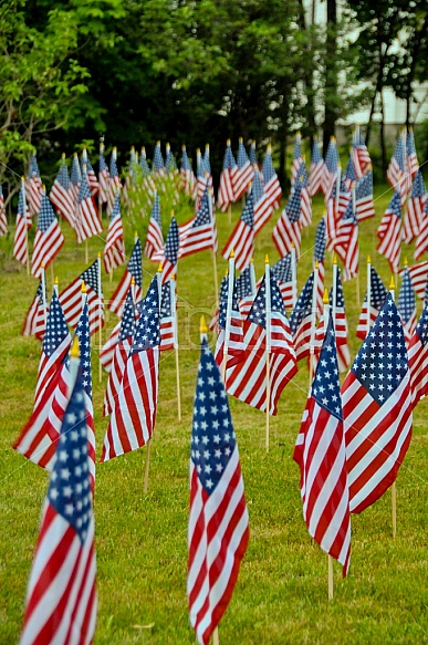 American Flags