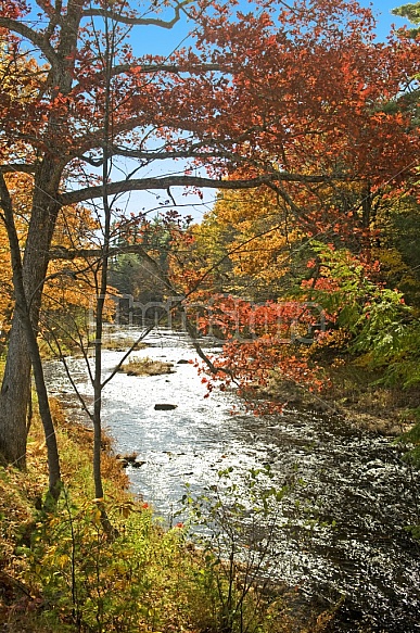 Scenic River