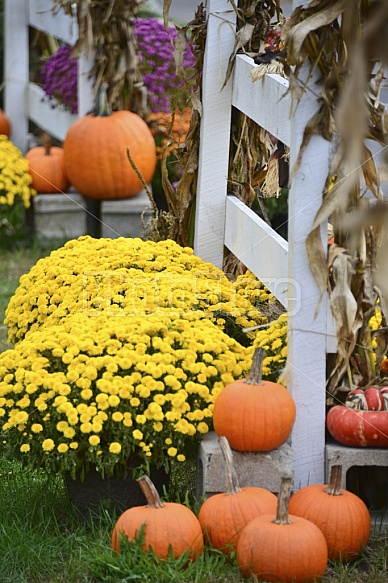 Fall Displays