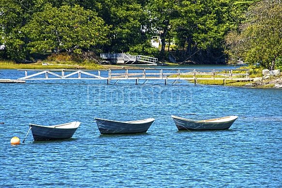 Summer in Maine