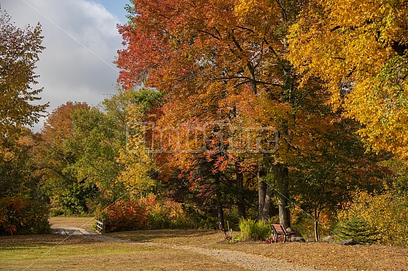 fall walking path