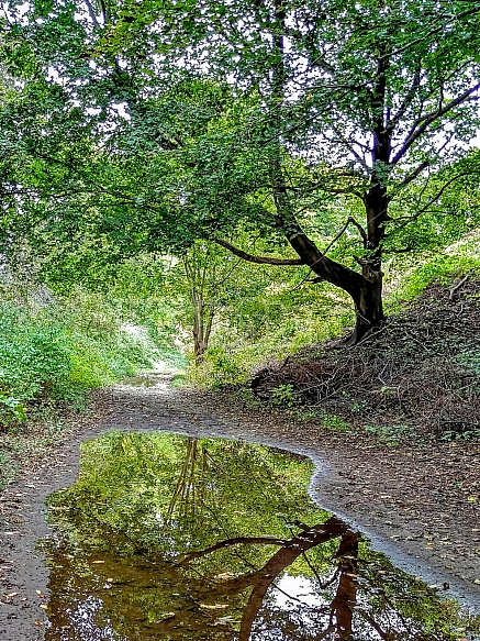 water reflection