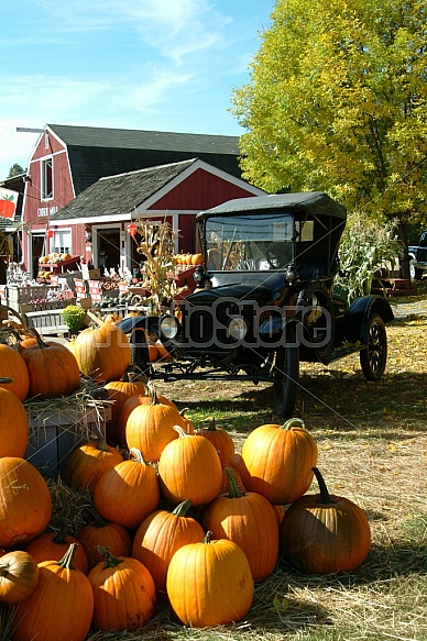 Farmstand