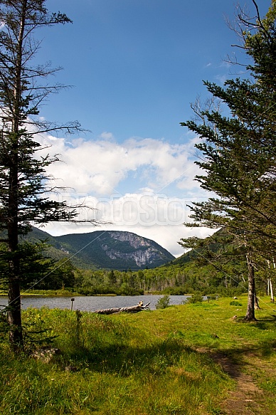 mountain views