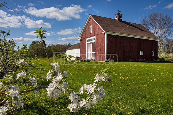 Spring Barn