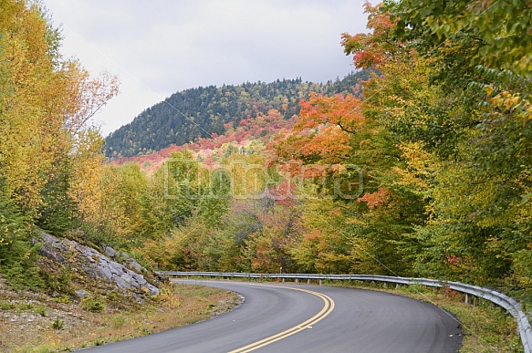 Scenic Roadway