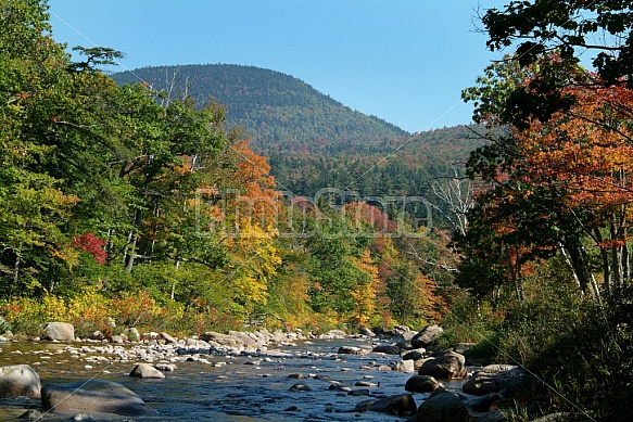 Mountain Stream