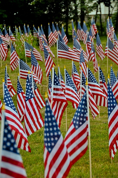 American Flags