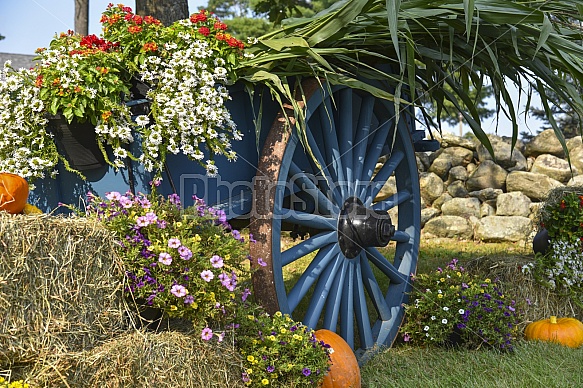 summer wagon wheel