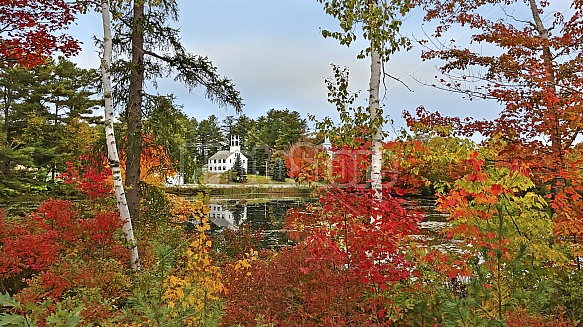 Autumn by the pond