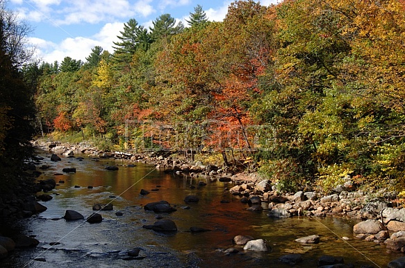 River With Fall Foliage