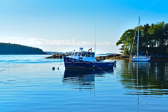 Maine Coast