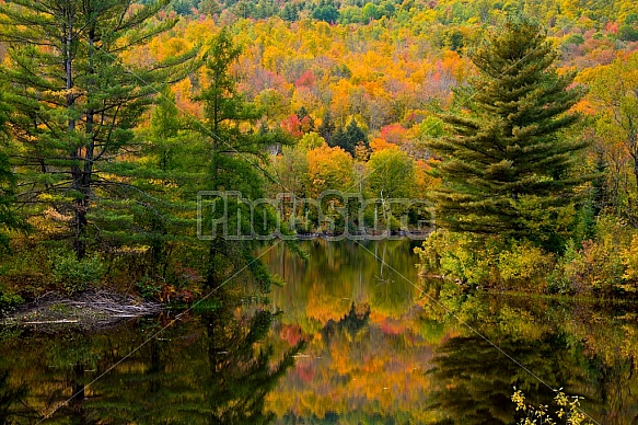 White Mountains