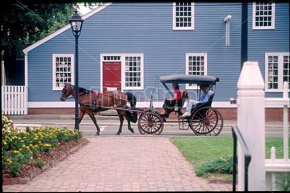 Horse And Buggy