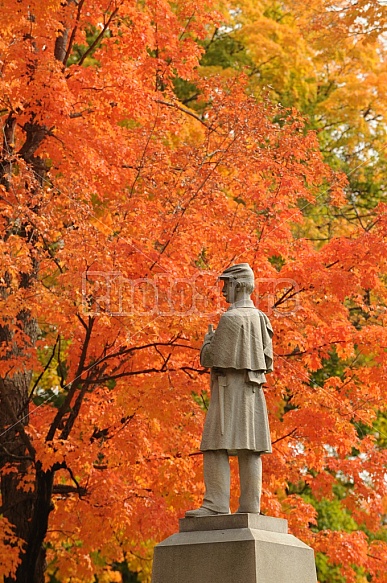 Autumn In A Park