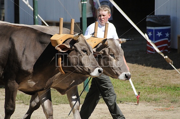 Deerfield Fair