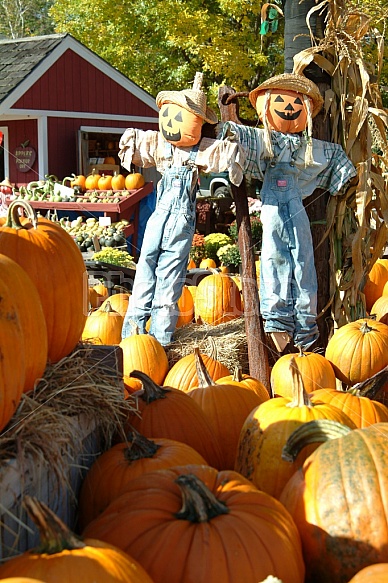 Farmstand