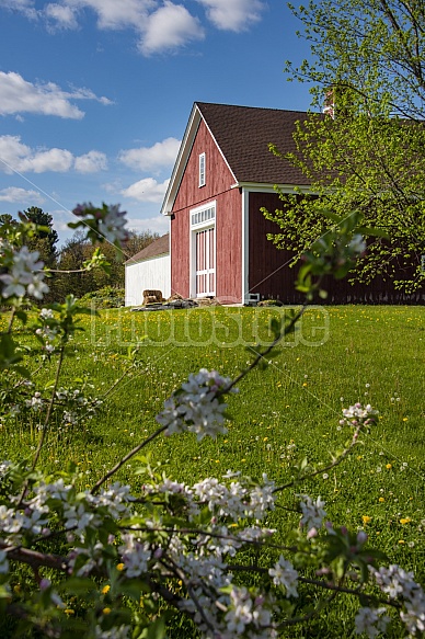 Spring Barn