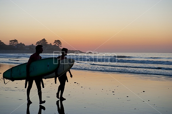 Beach Surfers