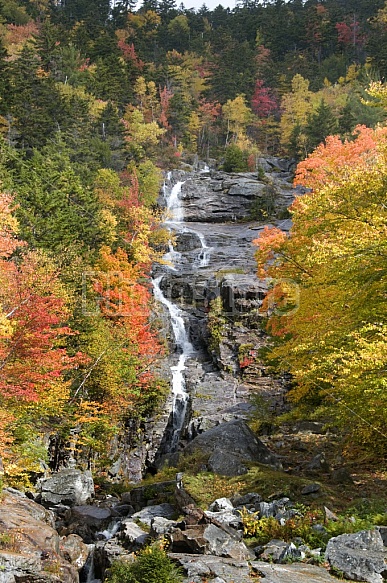 Bartlett Waterfall