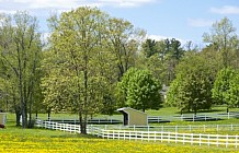 Horse Farm