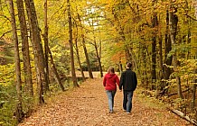 Mine Falls Park