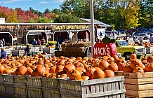 Fall pumpkins