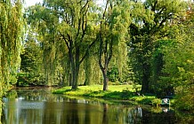 Summer along the river