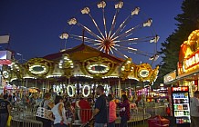 Fun at the fair