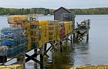 Lobster Traps