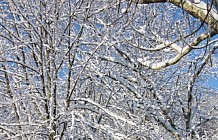 snowy country road