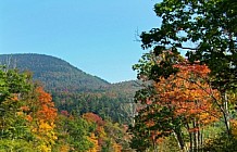 Mountain Stream