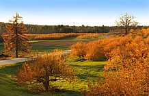 Londonderry