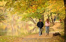 Mine Falls Park