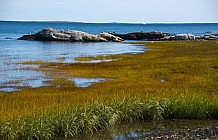 Odiorne State Park