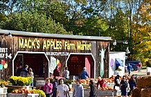 Fall pumpkins