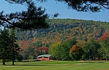 Covered Bridge