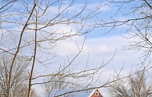 Red Barn In Winter