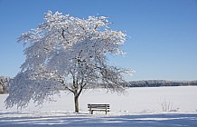 Fresh snow on the lake