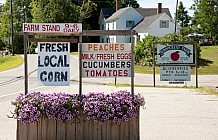 produce signs