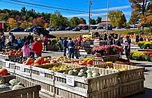 Fall pumpkins