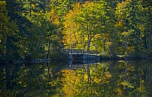 Chocorua Bridge